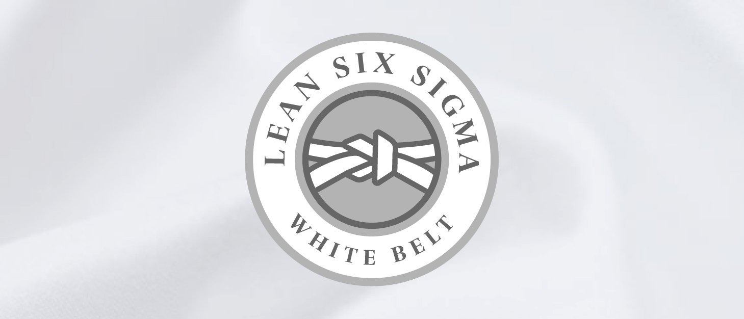 Lean Six Sigma Logo